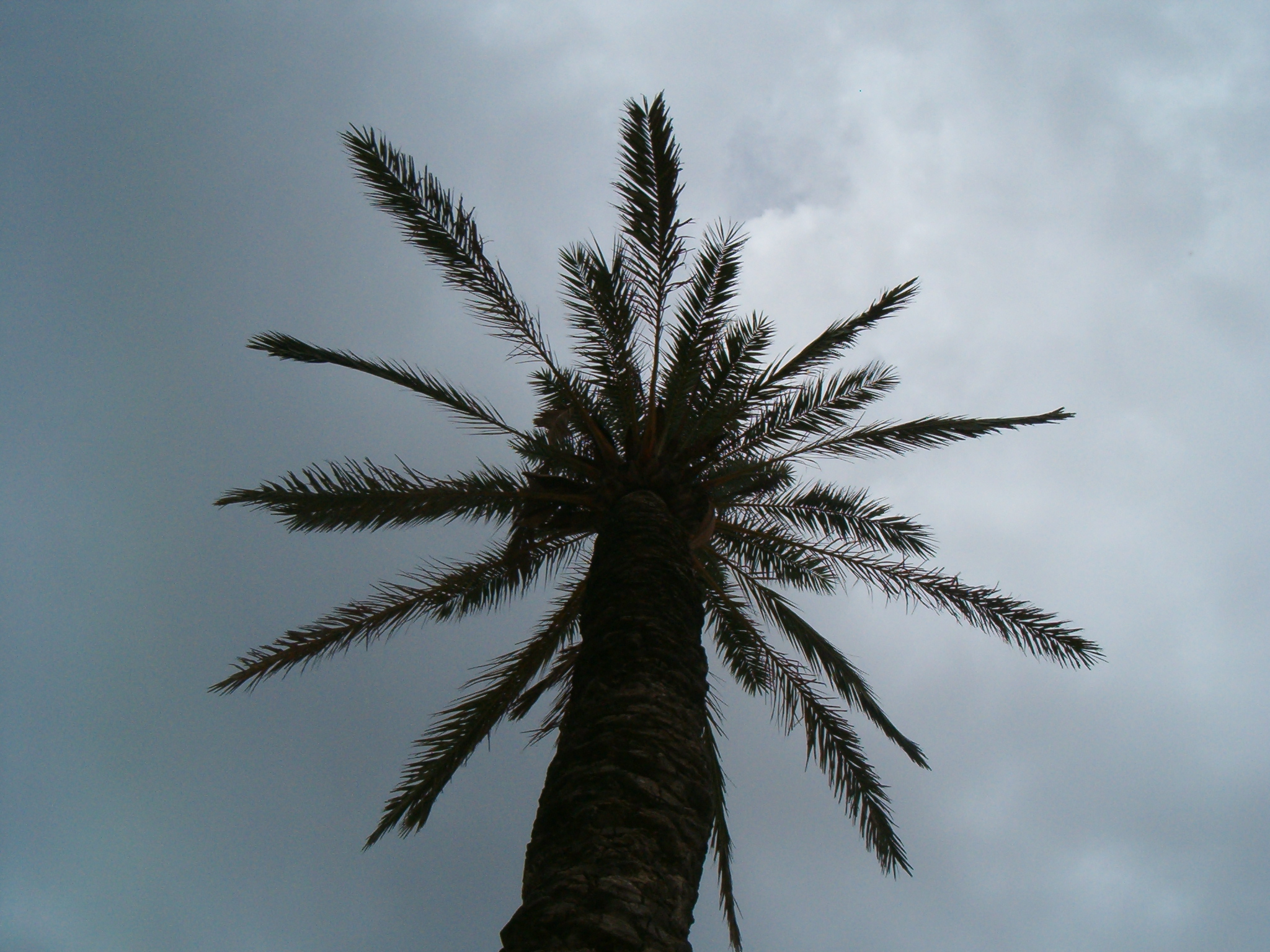 HPIM0884.jpg