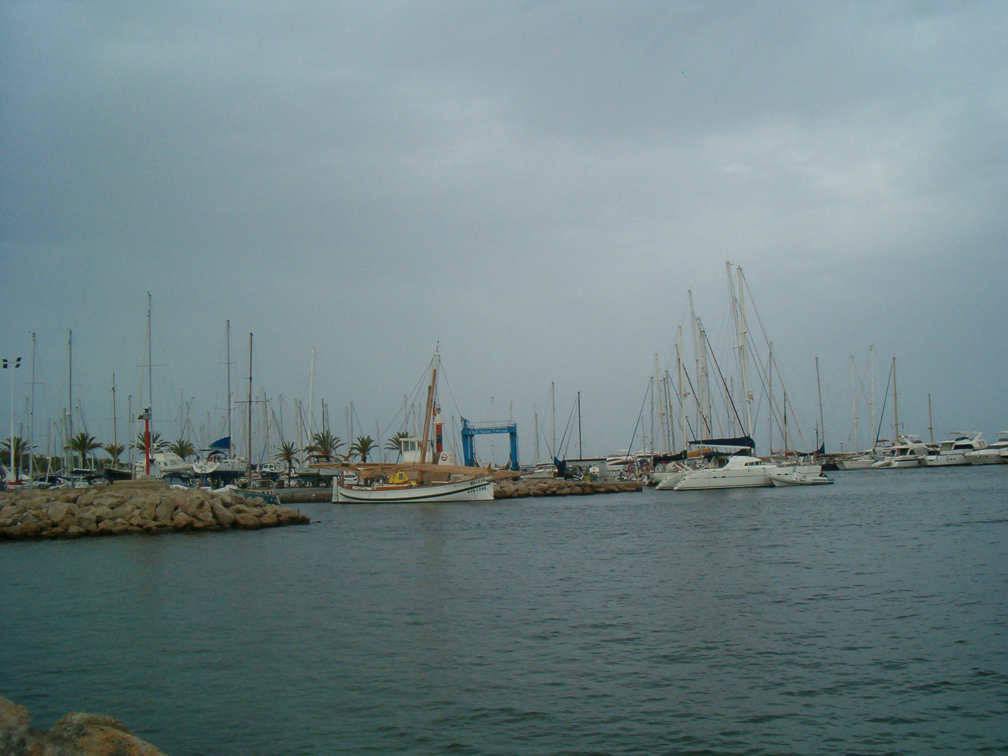 HPIM0886.jpg